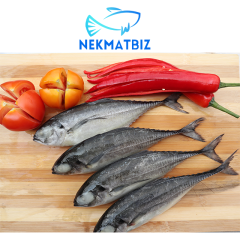 Ikan Cencaru ±1kg